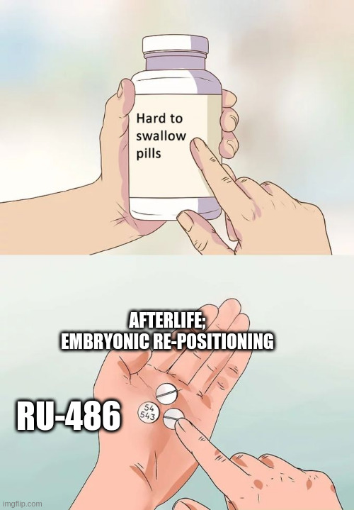 Hard To Swallow Pills Meme | AFTERLIFE;
EMBRYONIC RE-POSITIONING RU-486 | image tagged in memes,hard to swallow pills | made w/ Imgflip meme maker