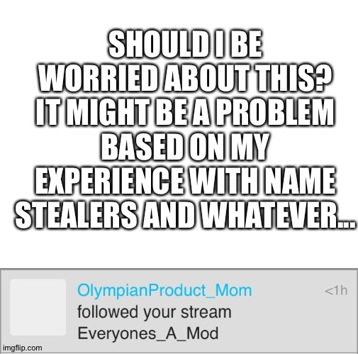 Should I be worried? | SHOULD I BE WORRIED ABOUT THIS? IT MIGHT BE A PROBLEM BASED ON MY EXPERIENCE WITH NAME STEALERS AND WHATEVER... | image tagged in blank white template | made w/ Imgflip meme maker