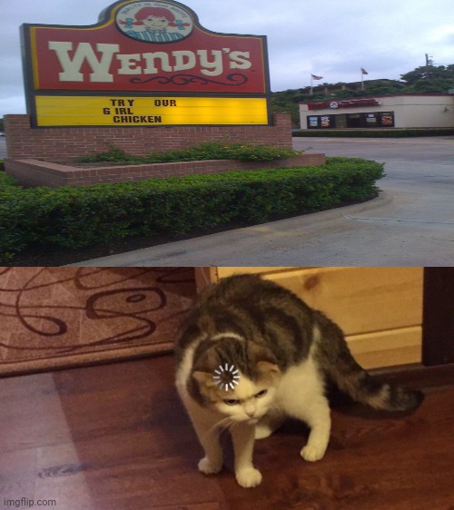 Wait what: Wendy's restaurant sign; Try our Girl chicken | image tagged in buffering cat,wendy's,restaurant,memes,meme,wrong | made w/ Imgflip meme maker