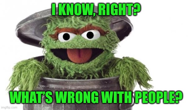 Oscar trashcan Sesame street | I KNOW, RIGHT? WHAT’S WRONG WITH PEOPLE? | image tagged in oscar trashcan sesame street | made w/ Imgflip meme maker