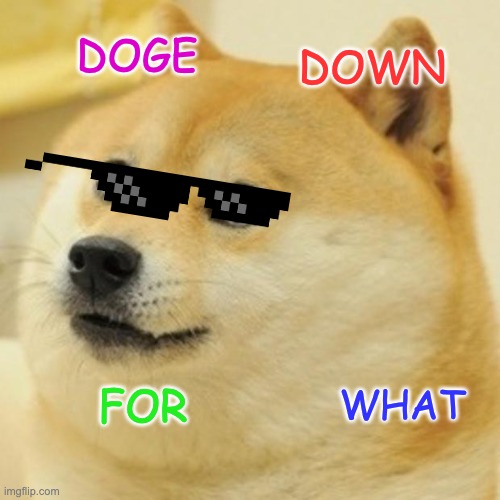 Dogy down for what | DOGE; DOWN; FOR; WHAT | image tagged in memes,doge | made w/ Imgflip meme maker
