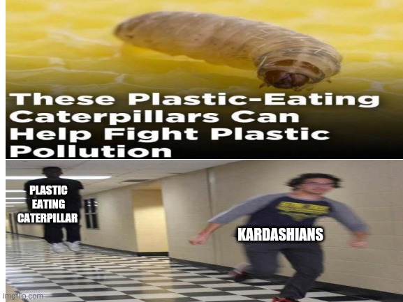 KARDASHIANS; PLASTIC EATING CATERPILLAR | image tagged in plastic,kardashians | made w/ Imgflip meme maker