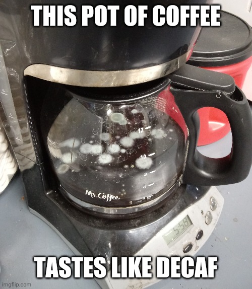 Decaf coffee | THIS POT OF COFFEE; TASTES LIKE DECAF | image tagged in moldy coffee,decaf,decaf coffee,coffee,gross,funny | made w/ Imgflip meme maker