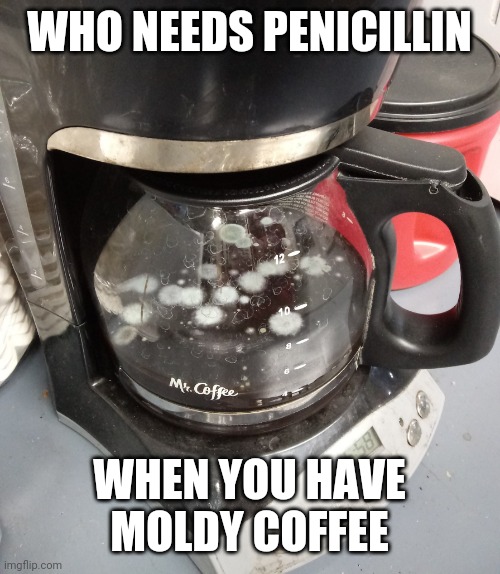 moldy coffee | WHO NEEDS PENICILLIN; WHEN YOU HAVE MOLDY COFFEE | image tagged in moldy coffee,funny,meme,coffee,gross,fail | made w/ Imgflip meme maker