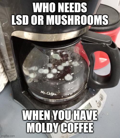 moldy coffee | WHO NEEDS LSD OR MUSHROOMS; WHEN YOU HAVE MOLDY COFFEE | image tagged in moldy coffee,funny,meme,coffee,fail,gross | made w/ Imgflip meme maker