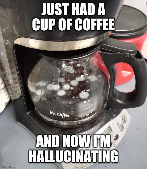 moldy coffee | JUST HAD A CUP OF COFFEE; AND NOW I'M HALLUCINATING | image tagged in moldy coffee,funny,meme,coffee,gross,funny memes | made w/ Imgflip meme maker