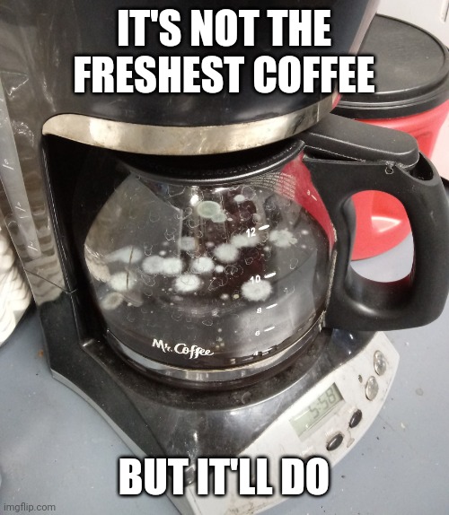 moldy coffee | IT'S NOT THE FRESHEST COFFEE; BUT IT'LL DO | image tagged in moldy coffee,funny,meme,coffee,funny memes,gross | made w/ Imgflip meme maker