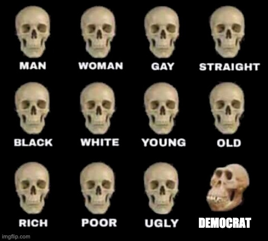 Democrat's evloutions | DEMOCRAT | image tagged in meme,evolution,gif,democrats,funny,yoga | made w/ Imgflip meme maker