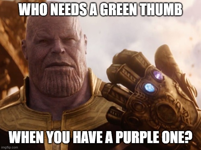 Thanos Smile |  WHO NEEDS A GREEN THUMB; WHEN YOU HAVE A PURPLE ONE? | image tagged in thanos smile | made w/ Imgflip meme maker