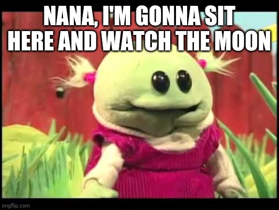 Nanalan | NANA, I'M GONNA SIT HERE AND WATCH THE MOON | image tagged in nanalan | made w/ Imgflip meme maker