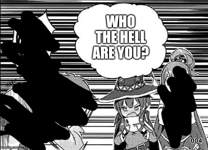 Megumin reading | WHO THE HELL ARE YOU? | image tagged in megumin reading | made w/ Imgflip meme maker