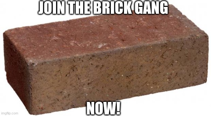 brick | JOIN THE BRICK GANG; NOW! | image tagged in brick | made w/ Imgflip meme maker
