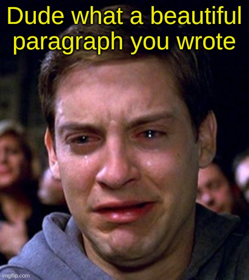 crying peter parker | Dude what a beautiful paragraph you wrote | image tagged in crying peter parker | made w/ Imgflip meme maker