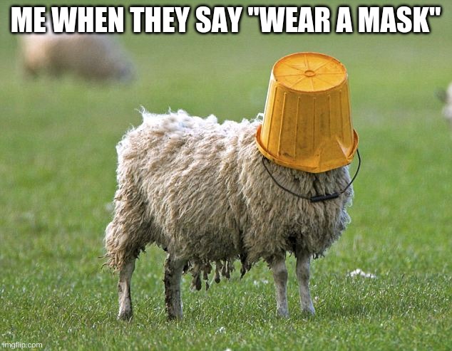 stupid sheep | ME WHEN THEY SAY "WEAR A MASK" | image tagged in stupid sheep | made w/ Imgflip meme maker