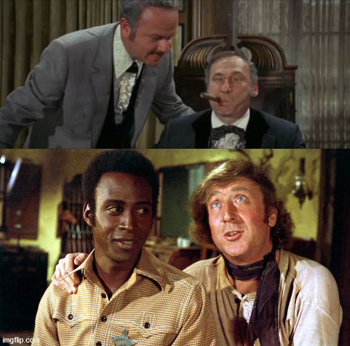 You know Morons | image tagged in blazing saddles,gene wilder,morons,politicians | made w/ Imgflip meme maker