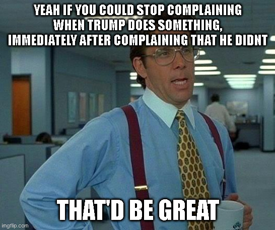 That Would Be Great Meme | YEAH IF YOU COULD STOP COMPLAINING WHEN TRUMP DOES SOMETHING, IMMEDIATELY AFTER COMPLAINING THAT HE DIDNT; THAT'D BE GREAT | image tagged in memes,that would be great | made w/ Imgflip meme maker
