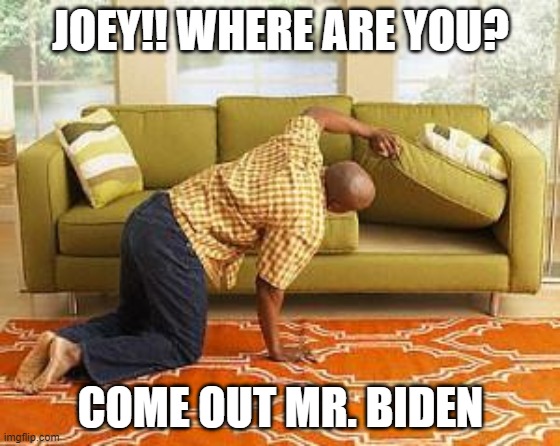 searching  | JOEY!! WHERE ARE YOU? COME OUT MR. BIDEN | image tagged in searching | made w/ Imgflip meme maker