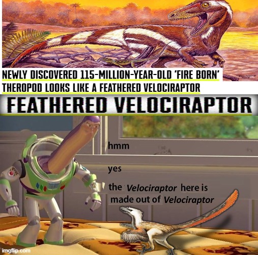 From Discord courtesy of I'mpulse | image tagged in repost,dinosaurs,feathers | made w/ Imgflip meme maker