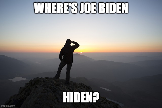 Searching | WHERE'S JOE BIDEN; HIDEN? | image tagged in searching | made w/ Imgflip meme maker
