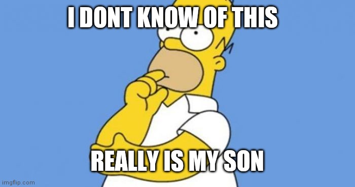 Homer thinking | I DONT KNOW OF THIS REALLY IS MY SON | image tagged in homer thinking | made w/ Imgflip meme maker