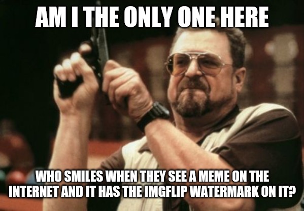 Am I The Only One Around Here | AM I THE ONLY ONE HERE; WHO SMILES WHEN THEY SEE A MEME ON THE INTERNET AND IT HAS THE IMGFLIP WATERMARK ON IT? | image tagged in memes,am i the only one around here | made w/ Imgflip meme maker
