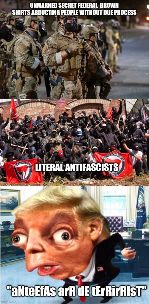 Derp | UNMARKED SECRET FEDERAL  BROWN SHIRTS ABDUCTING PEOPLE WITHOUT DUE PROCESS; LITERAL ANTIFASCISTS; "aNteEfAs arR dE tErRirRIsT" | image tagged in antifa,mocking trump,nazi,'murica | made w/ Imgflip meme maker