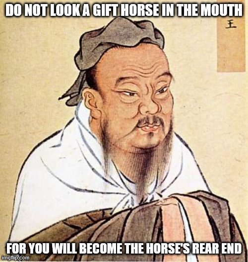 Do you agree that those are wise words to live by? | DO NOT LOOK A GIFT HORSE IN THE MOUTH; FOR YOU WILL BECOME THE HORSE'S REAR END | image tagged in confucious say,memes,words of wisdom,horses | made w/ Imgflip meme maker