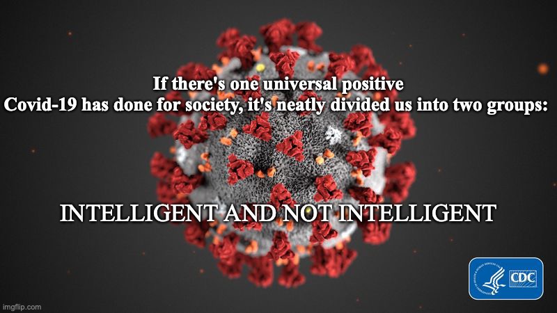 Covid 19 | If there's one universal positive Covid-19 has done for society, it's neatly divided us into two groups:; INTELLIGENT AND NOT INTELLIGENT | image tagged in covid 19 | made w/ Imgflip meme maker