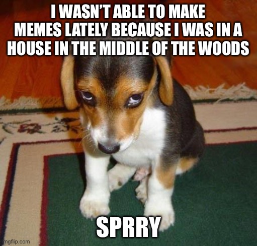 Sorry | I WASN’T ABLE TO MAKE MEMES LATELY BECAUSE I WAS IN A HOUSE IN THE MIDDLE OF THE WOODS; SPRRY | image tagged in sorry | made w/ Imgflip meme maker