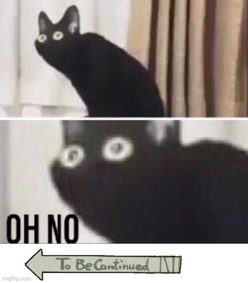 image tagged in to be continued,oh no cat | made w/ Imgflip meme maker