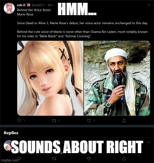 Marie Rose Laden. | HMM... SOUNDS ABOUT RIGHT | image tagged in funny,wtf,anime,video games,videogames,seems legit | made w/ Imgflip meme maker