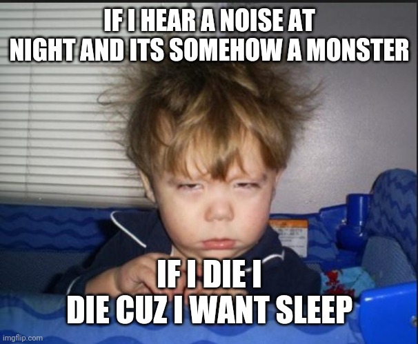 I rly dont care | IF I HEAR A NOISE AT NIGHT AND ITS SOMEHOW A MONSTER; IF I DIE I DIE CUZ I WANT SLEEP | image tagged in tired child | made w/ Imgflip meme maker