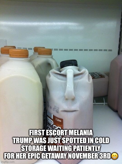 FIRST ESCORT MELANIA TRUMP WAS JUST SPOTTED IN COLD STORAGE WAITING PATIENTLY FOR HER EPIC GETAWAY NOVEMBER 3RD😁 | image tagged in melania trump,escort,flotus,donald trump,trump supporters,sarcasm | made w/ Imgflip meme maker