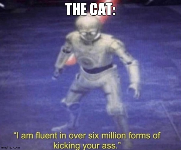 I am fluent in over six million forms of kicking your ass | THE CAT: | image tagged in i am fluent in over six million forms of kicking your ass | made w/ Imgflip meme maker