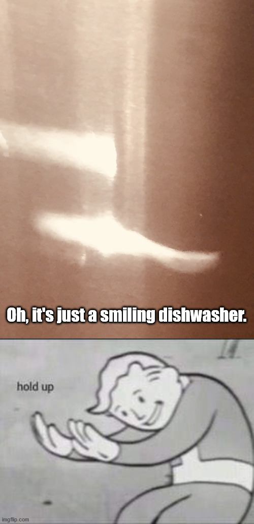 Is That Dishwasher Winking At Me? | Oh, it's just a smiling dishwasher. | image tagged in fallout hold up | made w/ Imgflip meme maker