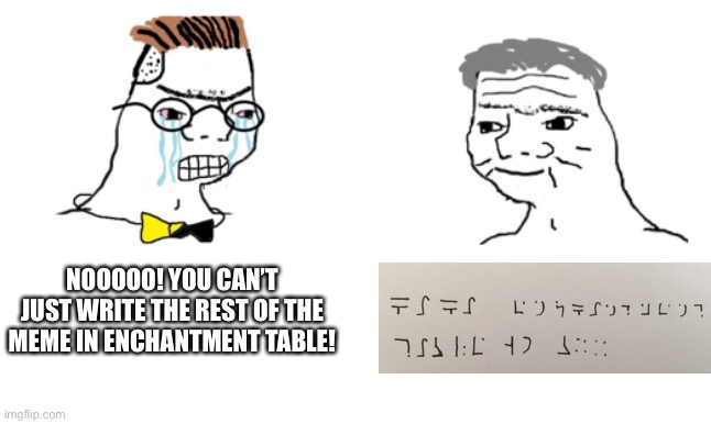 no you cant just ... | NOOOOO! YOU CAN’T JUST WRITE THE REST OF THE MEME IN ENCHANTMENT TABLE! | image tagged in no you cant just | made w/ Imgflip meme maker