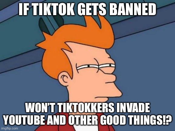 Oh my gosh | IF TIKTOK GETS BANNED; WON’T TIKTOKKERS INVADE YOUTUBE AND OTHER GOOD THINGS!? | image tagged in memes,futurama fry | made w/ Imgflip meme maker