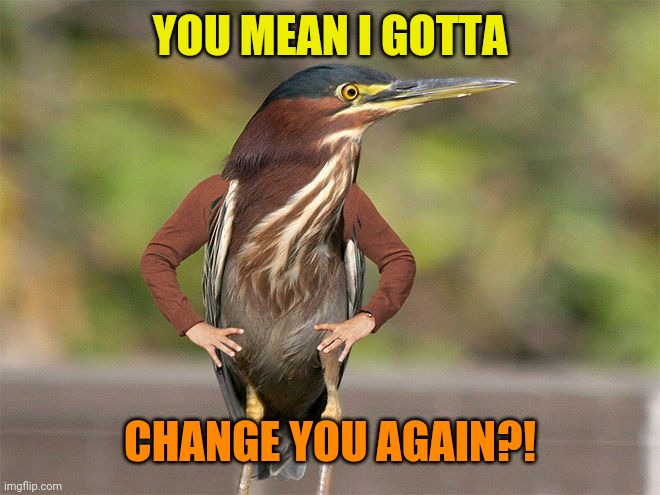 YOU MEAN I GOTTA CHANGE YOU AGAIN?! | made w/ Imgflip meme maker