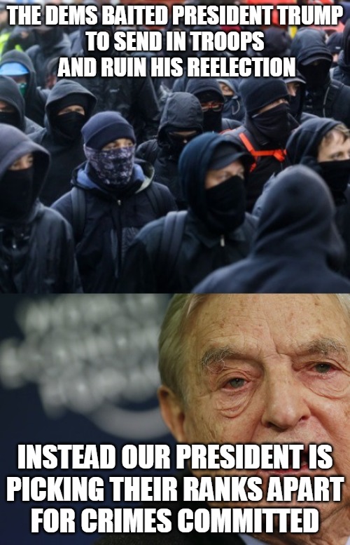 Picking apart Antifa | THE DEMS BAITED PRESIDENT TRUMP
TO SEND IN TROOPS
 AND RUIN HIS REELECTION; INSTEAD OUR PRESIDENT IS
PICKING THEIR RANKS APART
FOR CRIMES COMMITTED | image tagged in dems,trump,troops,election,ranks,crimes | made w/ Imgflip meme maker