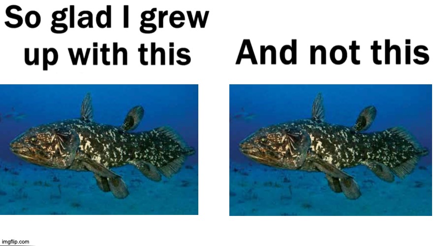 It's A Coelacanth | image tagged in so glad i grew up with this,memes,fish,frontpage | made w/ Imgflip meme maker
