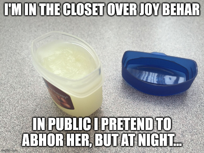 Vaseline  | I'M IN THE CLOSET OVER JOY BEHAR IN PUBLIC I PRETEND TO ABHOR HER, BUT AT NIGHT... | image tagged in vaseline | made w/ Imgflip meme maker