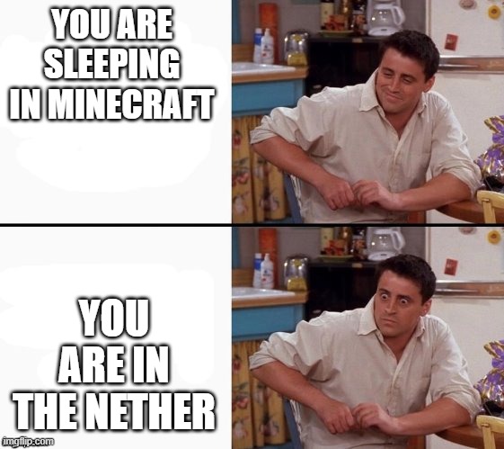 Comprehending Joey | YOU ARE SLEEPING IN MINECRAFT; YOU ARE IN THE NETHER | image tagged in comprehending joey | made w/ Imgflip meme maker