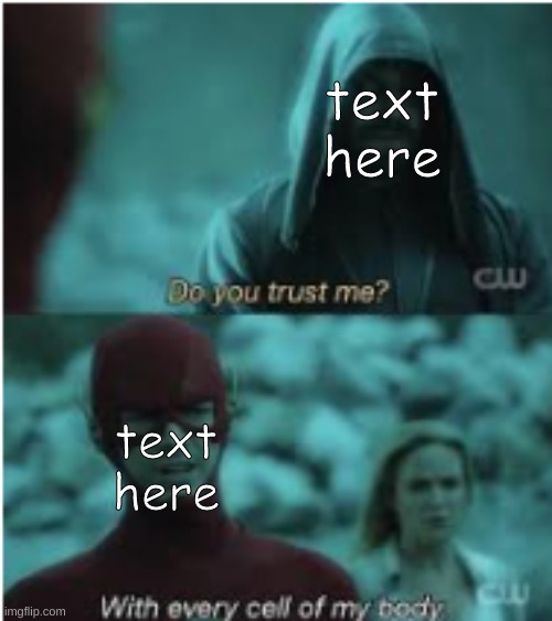 Do you trust me Flash | text here; text here | image tagged in do you trust me flash | made w/ Imgflip meme maker