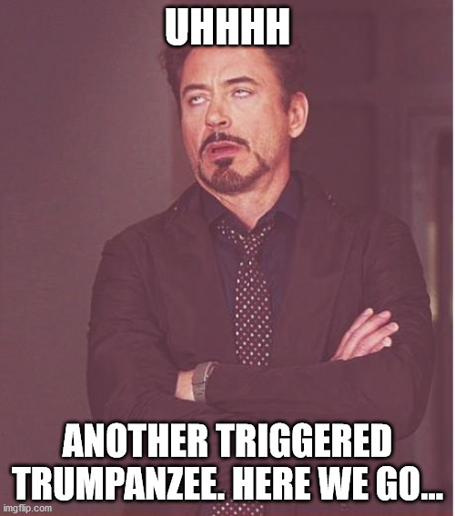 triggered trumper | UHHHH; ANOTHER TRIGGERED TRUMPANZEE. HERE WE GO... | image tagged in memes,face you make robert downey jr,trumpers,democrats,crying republicans | made w/ Imgflip meme maker