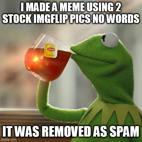 But That's None Of My Business | I MADE A MEME USING 2 STOCK IMGFLIP PICS NO WORDS; IT WAS REMOVED AS SPAM | image tagged in memes,but that's none of my business,kermit the frog | made w/ Imgflip meme maker