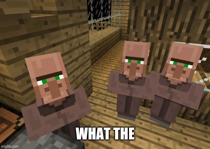 Minecraft Villagers | WHAT THE | image tagged in minecraft villagers | made w/ Imgflip meme maker