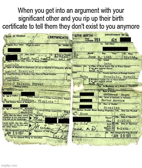 Birth Certificate Rip Of Existence | image tagged in birth certificate rip of existence | made w/ Imgflip meme maker