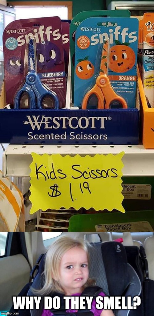 I can see other kids cutting themselves or shoving them up their nose lol | WHY DO THEY SMELL? | image tagged in wtf girl,scissors | made w/ Imgflip meme maker