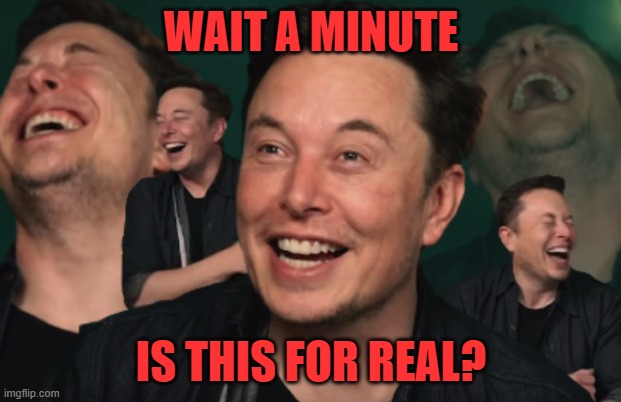 Elon Musk Laughing | WAIT A MINUTE IS THIS FOR REAL? | image tagged in elon musk laughing | made w/ Imgflip meme maker