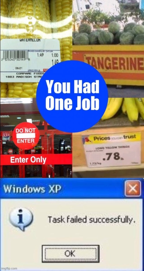 You had one job...and failed miserably!!!! | image tagged in task failed successfully,funny,memes,you had one job | made w/ Imgflip meme maker